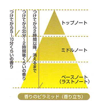 香りのピラミッド